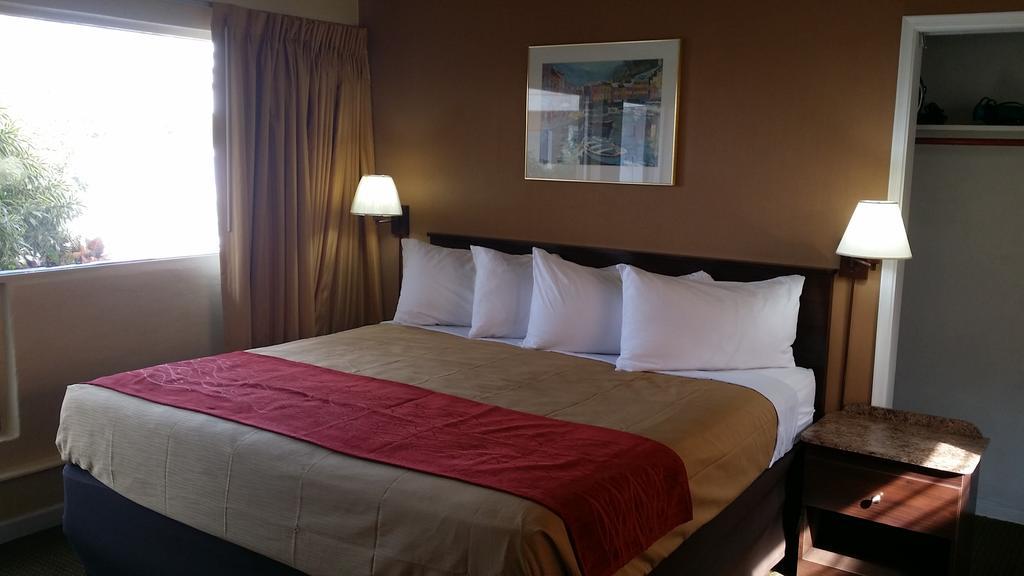 Motel The Palms On Ocean Pompano Beach Zimmer foto